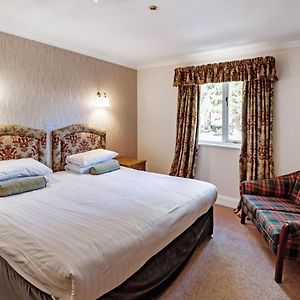 Cozy King Room
